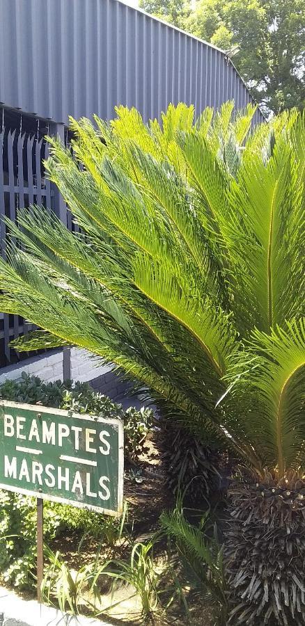 B&B 464 On 22Nd Ave Pretoria Luaran gambar